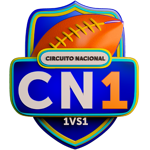 CN1